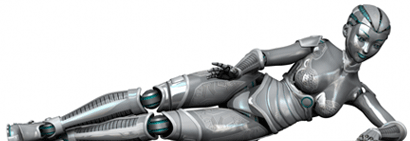 WP Robot